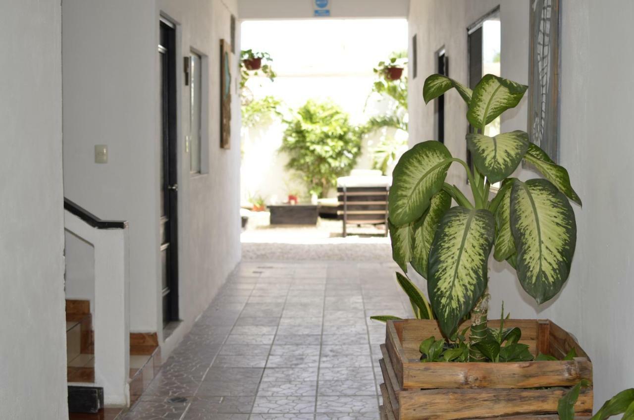 Hotel Nicte Ha Tulum Exteriér fotografie